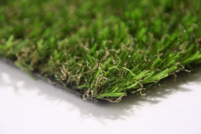 20 MM MILET GRASS