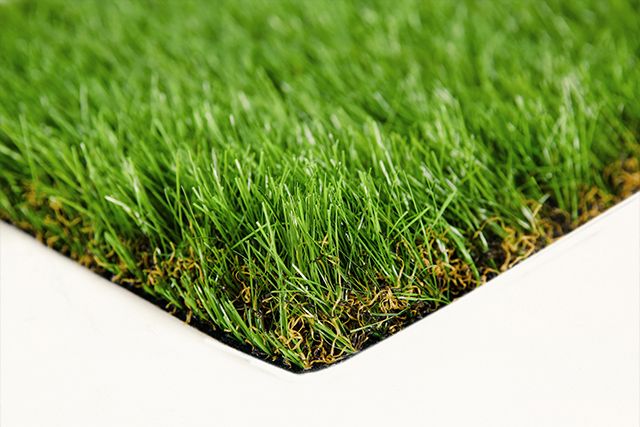 55MM LIDYA GRASS