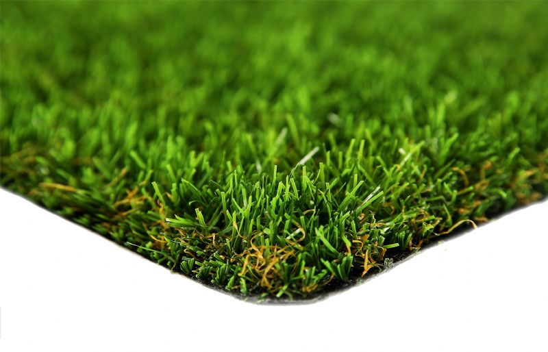 25 MM HARPUT GRASS