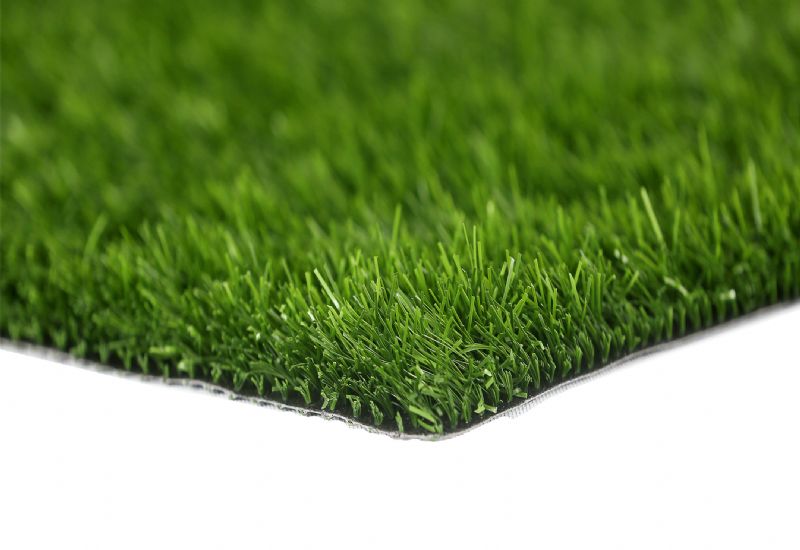 20 MM MILET GRASS